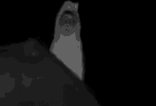 Detail Gif Hantu Seram Nomer 18