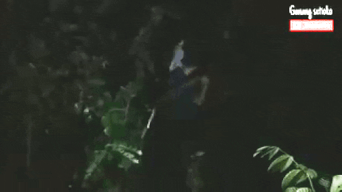 Detail Gif Hantu Seram Nomer 47