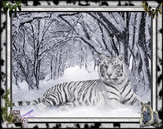 Detail Gif Harimau Putih Nomer 32
