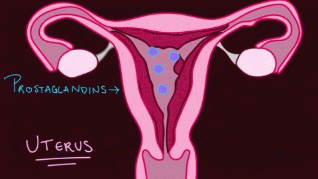 Detail Gif Menstruation Nomer 28