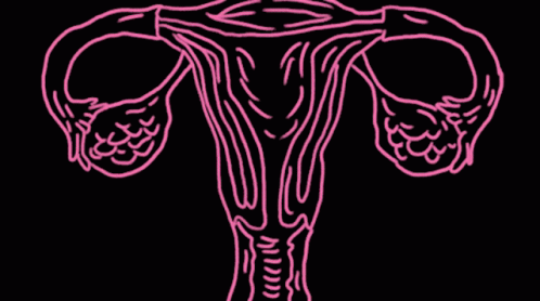 Detail Gif Menstruation Nomer 36