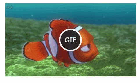 Detail Gif Player Nomer 17