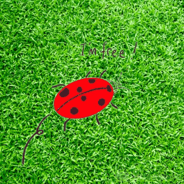Detail Gif Remove Background Nomer 44