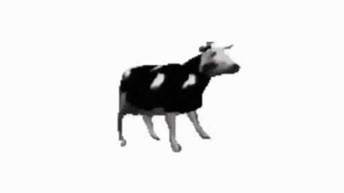 Detail Gif Sapi Nomer 29
