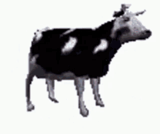 Detail Gif Sapi Nomer 59