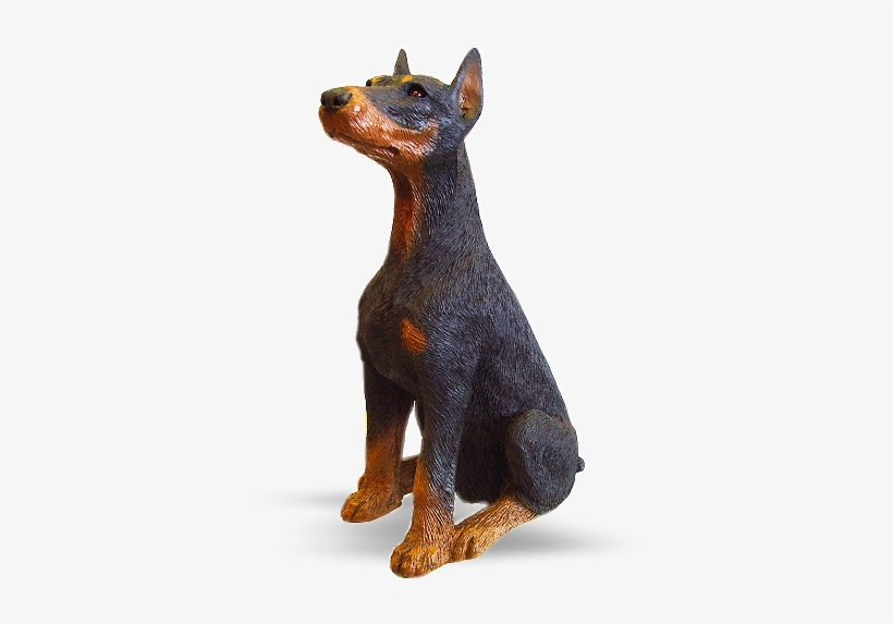 Detail Dobermann Statue Nomer 9