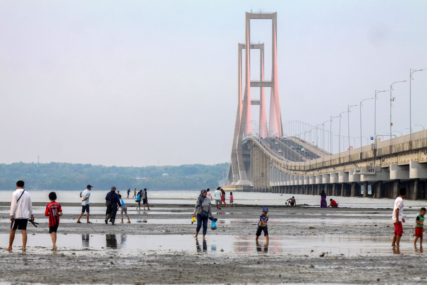 Detail Foto Jembatan Suramadu Nomer 4