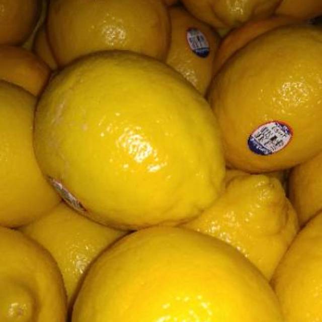 Detail Foto Jeruk Lemon Nomer 24