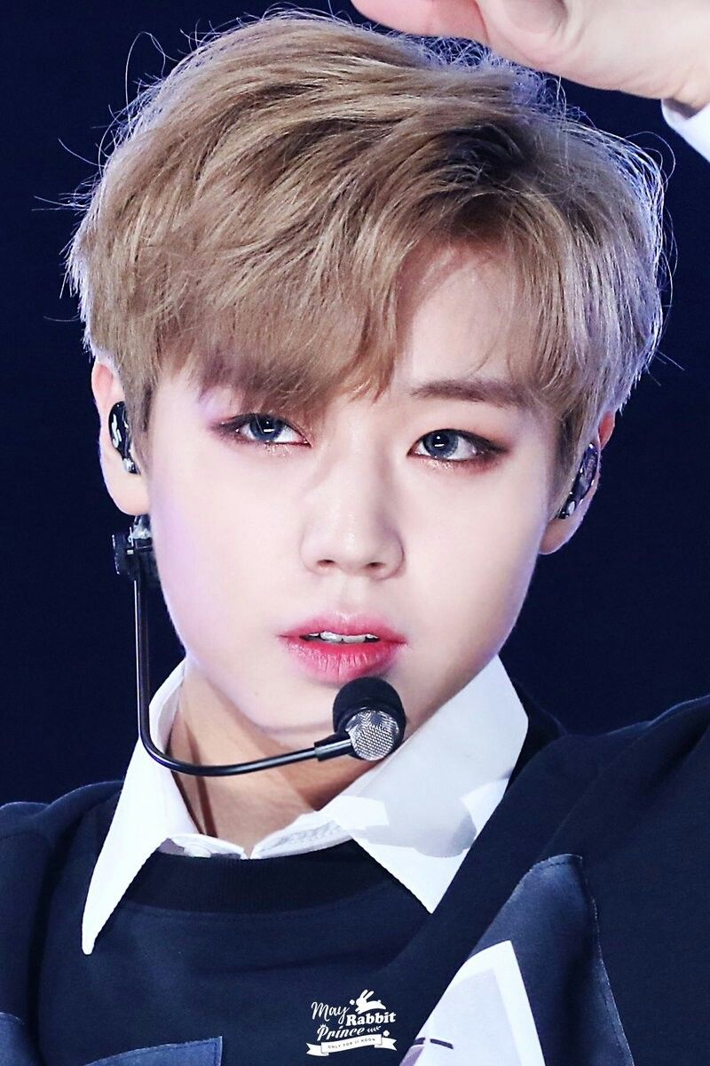 Foto Jihoon Wanna One - KibrisPDR