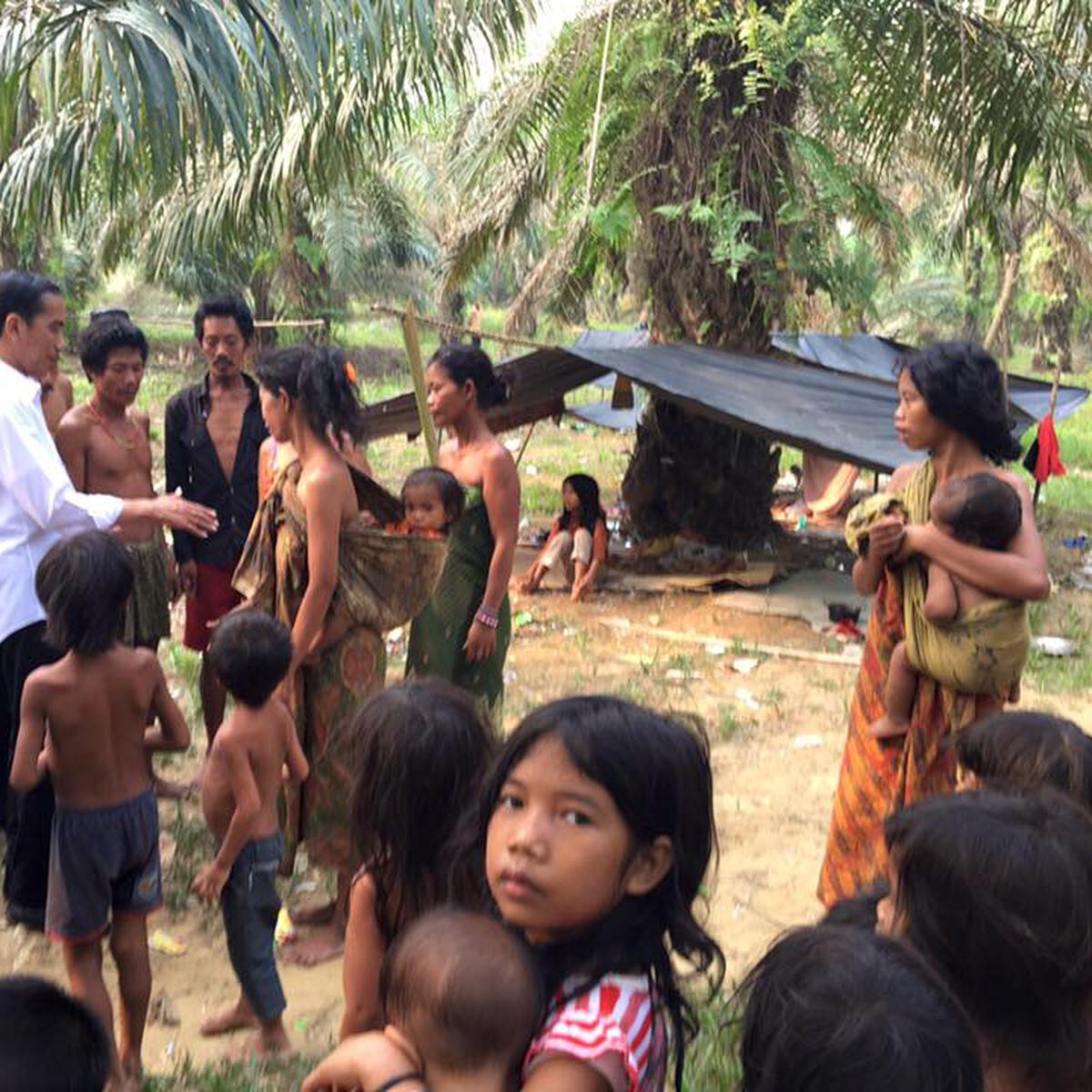 Detail Foto Jokowi Dengan Suku Anak Dalam Nomer 16
