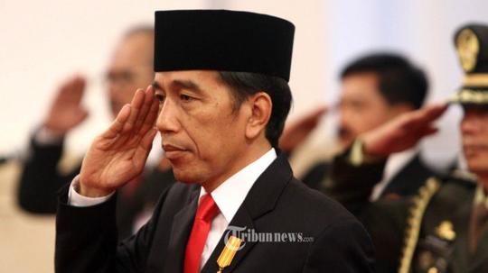 Detail Foto Jokowi Dodo Nomer 29