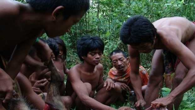 Detail Foto Jokowi Suku Anak Dalam Nomer 25