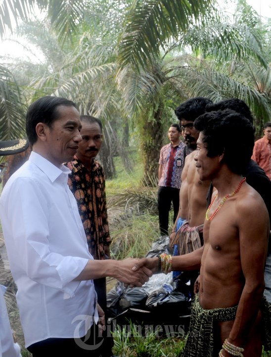 Detail Foto Jokowi Suku Anak Dalam Nomer 9