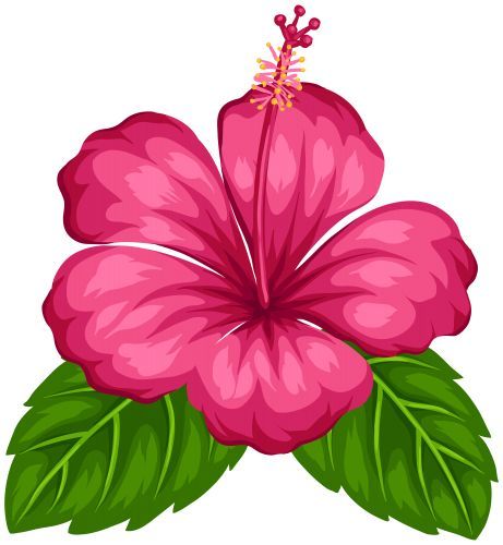 Detail Hawaii Blume Nomer 14