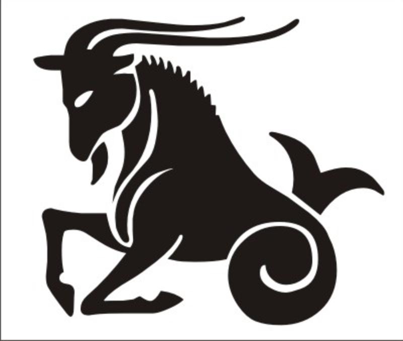 Detail Steinbock Bleistiftzeichnung Nomer 10