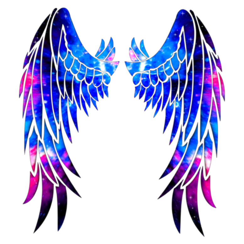 Wing Vip - KibrisPDR