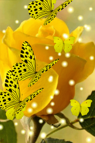 Detail Gif Wallpaper Butterfly Nomer 40
