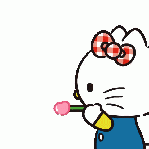 Detail Gift Hello Kitty Nomer 27
