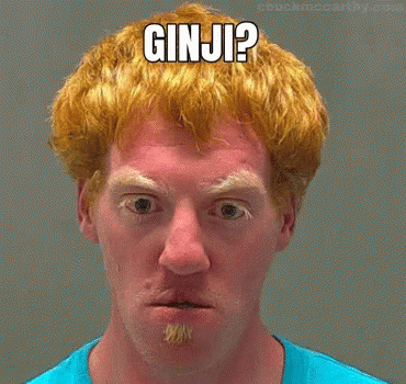 Download Ginger Gif Nomer 37
