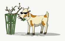 Detail Goat Kartun Nomer 2