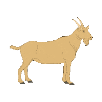 Detail Goat Kartun Nomer 23