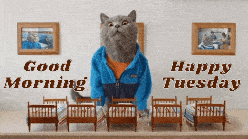 Detail Happy Tuesday Gif Funny Nomer 19