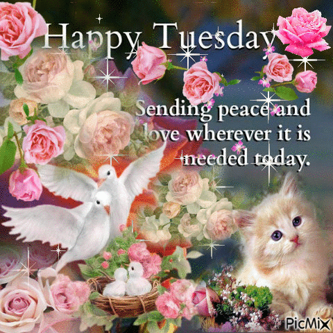 Detail Happy Tuesday Gif Funny Nomer 41
