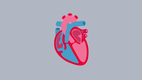 Detail Heart Attack Animated Gif Nomer 22