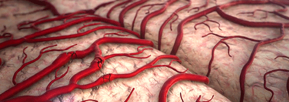 Detail Heart Attack Animated Gif Nomer 38