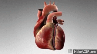 Detail Heart Attack Animated Gif Nomer 7