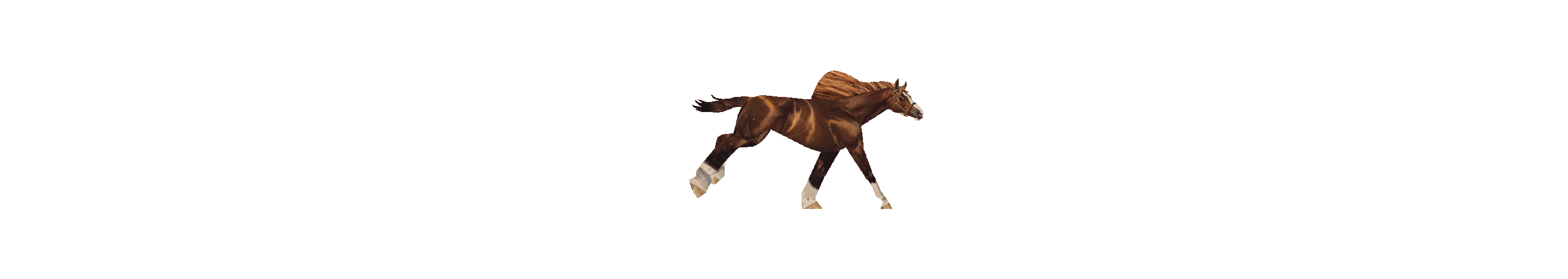 Detail Horse Animasi Nomer 23