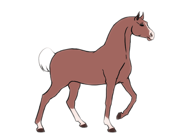Detail Horse Animasi Nomer 5