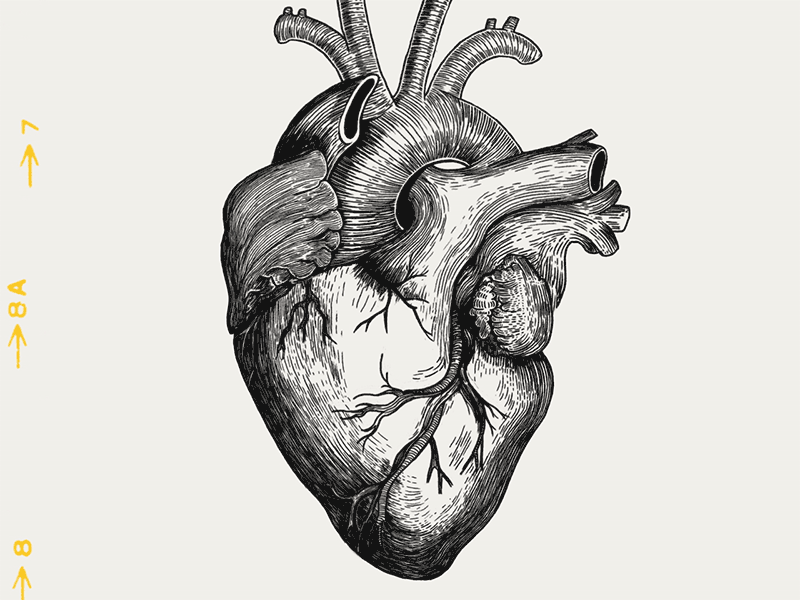 Detail Human Heart Gif Nomer 10