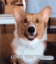 Detail I Love You Gif Funny Nomer 58