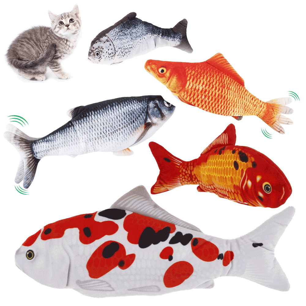 Detail Ikan Bergerak Nomer 5