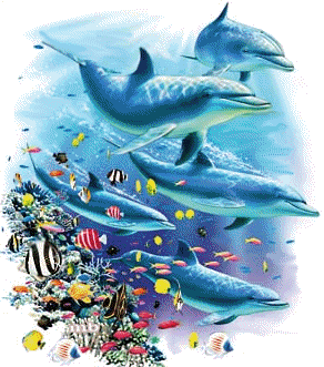 Detail Ikan Bergerak Nomer 30