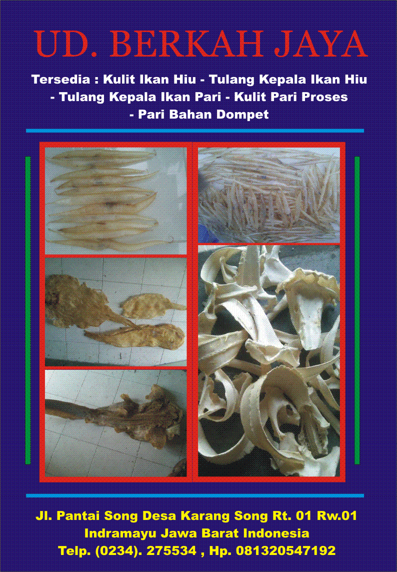 Detail Ikan Pari Animasi Nomer 21