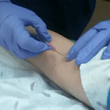 Detail Insertion Gif Nomer 5