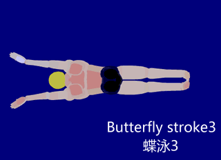 Detail Kaki Animasi Nomer 36