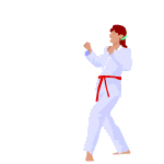 Karate Kartun - KibrisPDR