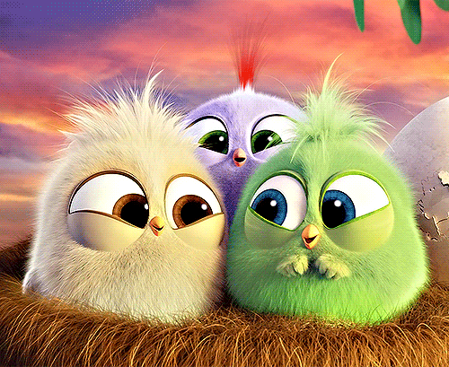 Detail Kartun Angry Bird Nomer 6