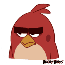 Detail Kartun Angry Bird Nomer 52