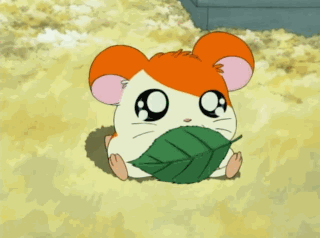 Detail Kartun Di Spacetoon Nomer 38