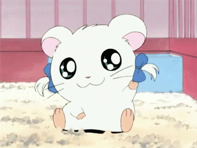 Detail Kartun Di Spacetoon Nomer 51