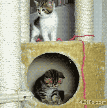 Detail Kartun Kucing Gendut Nomer 24