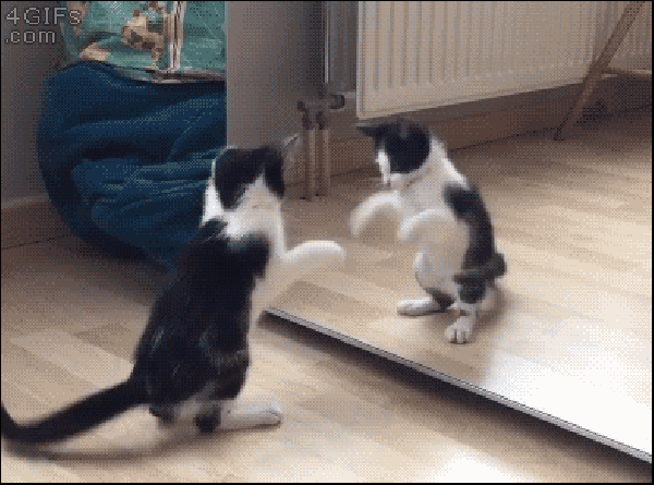 Detail Kartun Kucing Lucu Nomer 36