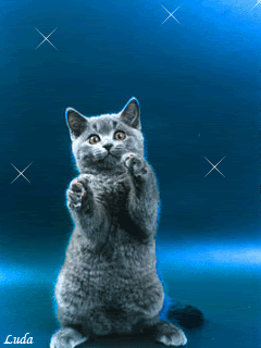 Detail Kartun Kucing Lucu Nomer 38