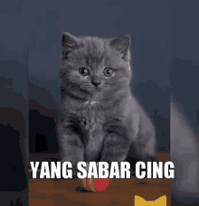 Detail Kartun Kucing Lucu Nomer 47