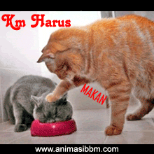 Detail Kartun Kucing Lucu Nomer 51