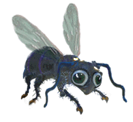 Detail Kartun Kumbang Nomer 19